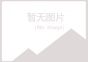 鹤岗东山从安水泥有限公司